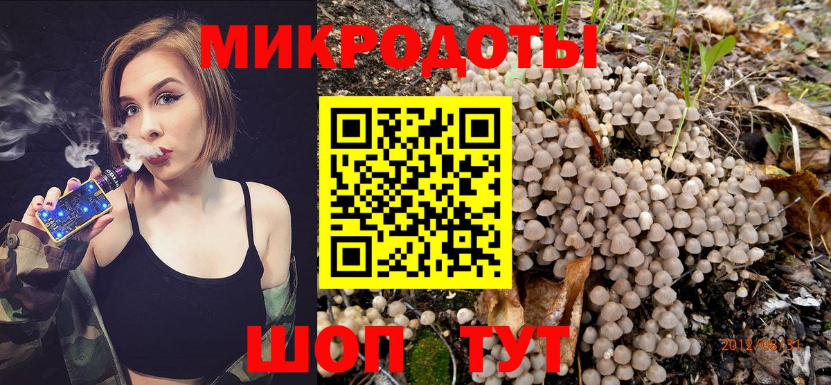 Галлюциногенные грибы мицелий Стрежевой